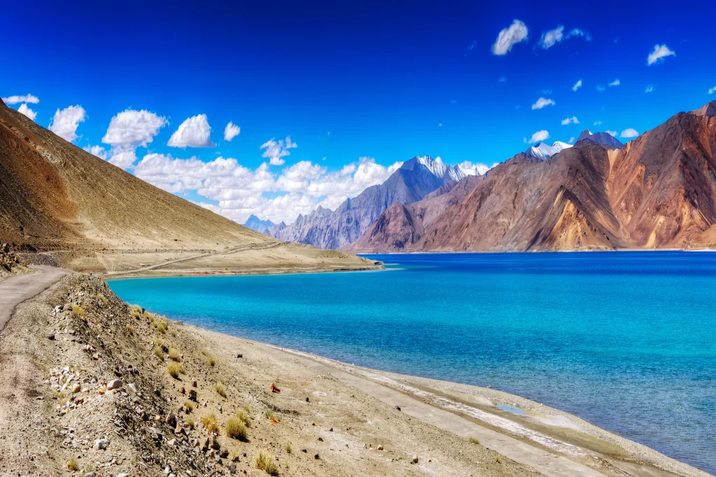Best Domestic Holiday Packages in India