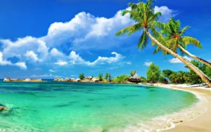 Goa – Playful Beaches & Vibrant Nightlife